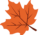 modal-fall-leaf-left